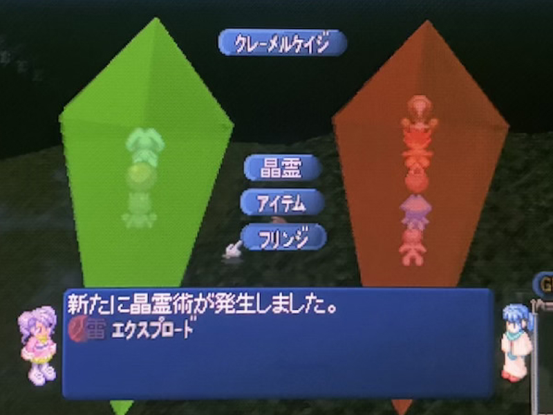 フリンジ実行画面